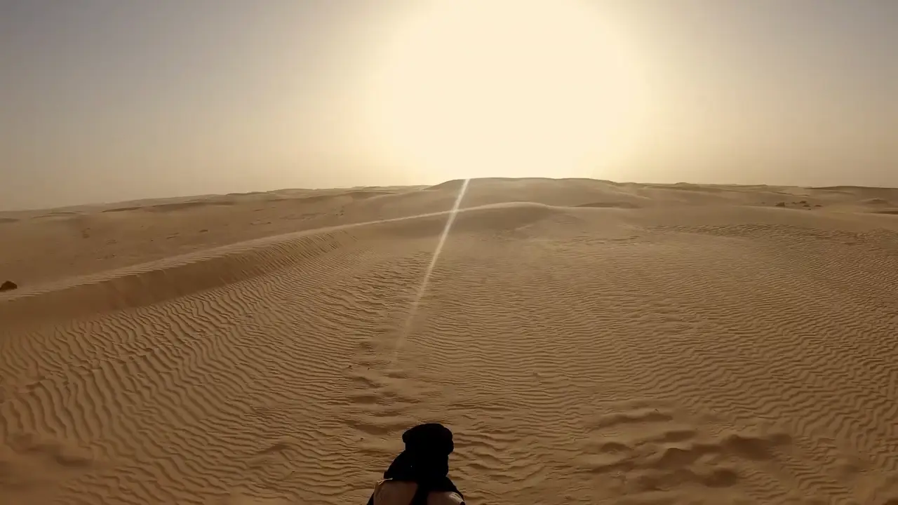 Balade à dos de dromadaire dans les dunes, face au soleil